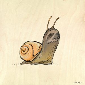 snail and sloth